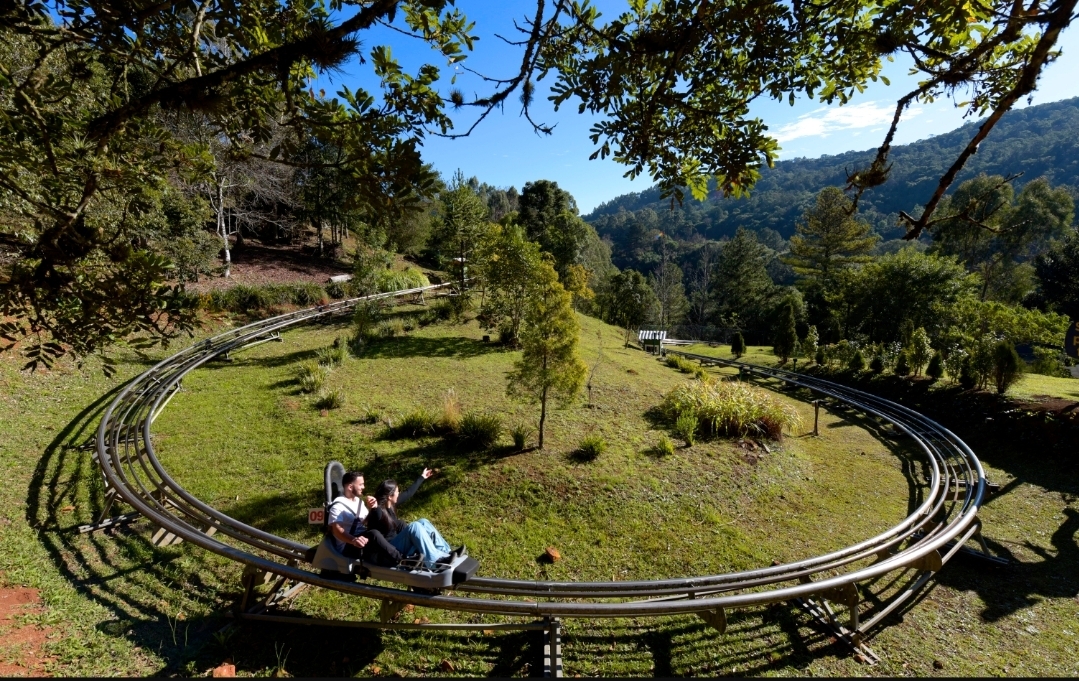 Alpen Park tem passaporte gratuito para estudantes do 9º e 3º ano das escolas públicas de Canela e Gramado