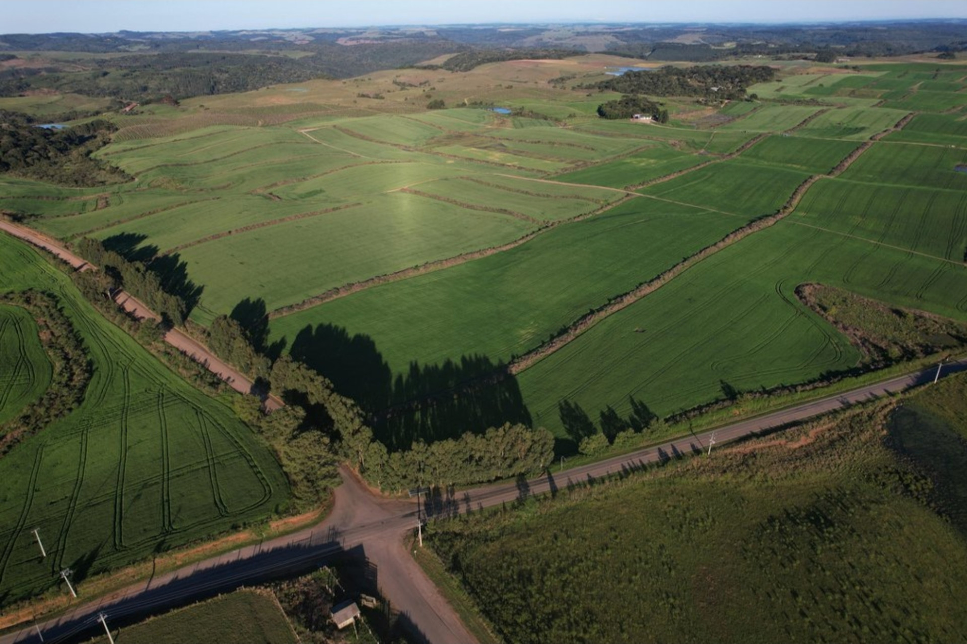 Consórcio liderado por empresa de Brasília fica em primeiro na licitação do aeroporto de Vila Oliva
