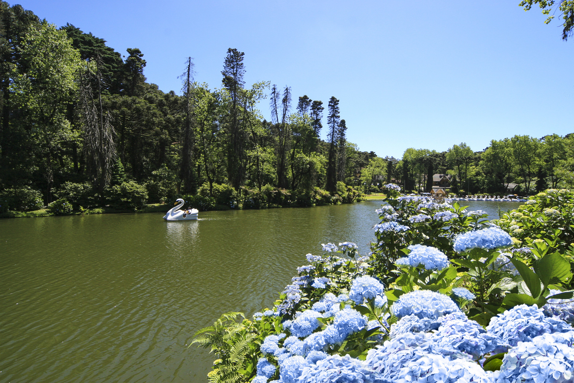 Gramado está entre os 5 destinos de maior interesse dos brasileiros em pesquisa do Ministério do Turismo