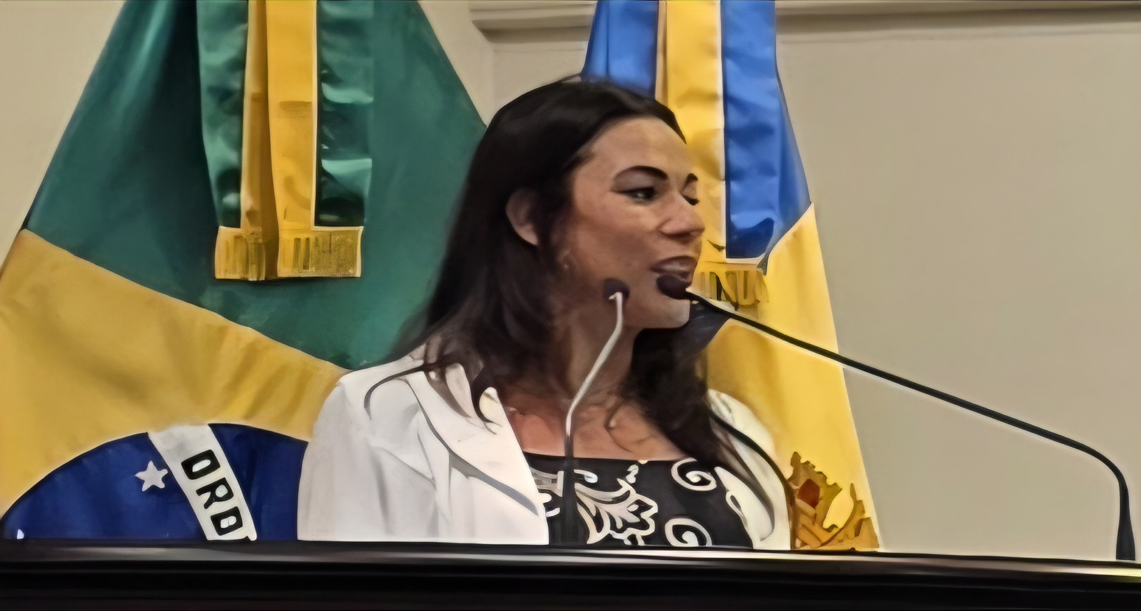 Vereadora afirma que Tribunal de Justiça validou revogação da lei da Sacolinha em Gramado